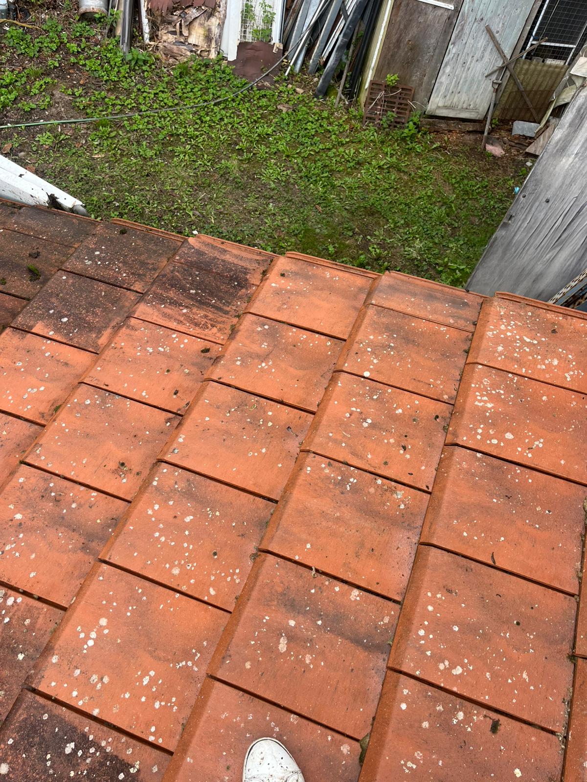 Réalisations LM Nettoyage à Lyon